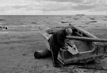 Photo of Фотография: искусство запечатлеть мгновение